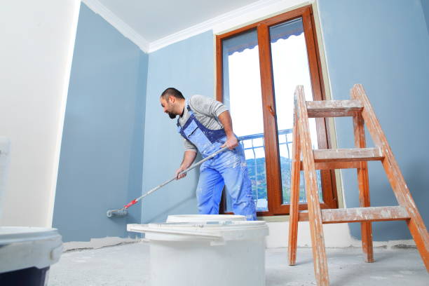 Best Wallpaper Removal and Painting  in Lakeland, MN